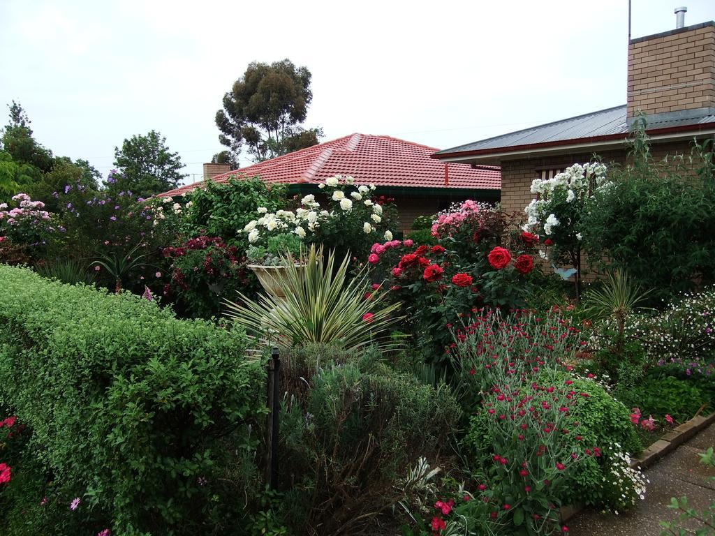 Admurraya House Bed & Breakfast Rutherglen Eksteriør bilde