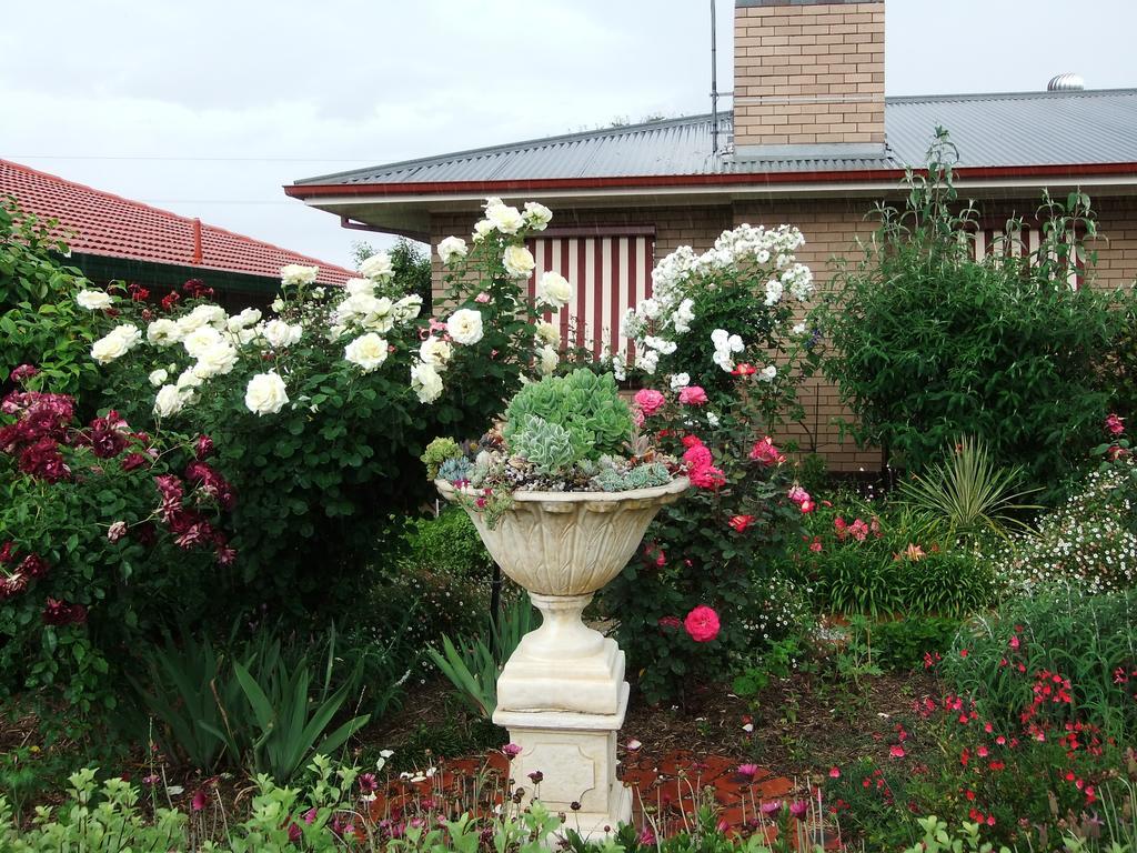 Admurraya House Bed & Breakfast Rutherglen Eksteriør bilde